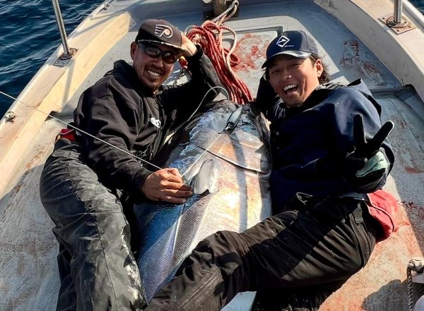 画像8: 【TRANSCENDENCE/トランスセンデンス】Khareef X8｜カリーフ X8 (8)