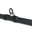 画像3: 【Fishman/フィッシュマン】Beams inte 9.8L（インテ） (3)