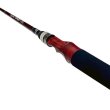 画像4: 【Fishman/フィッシュマン】Beams inte 9.8L（インテ） (4)