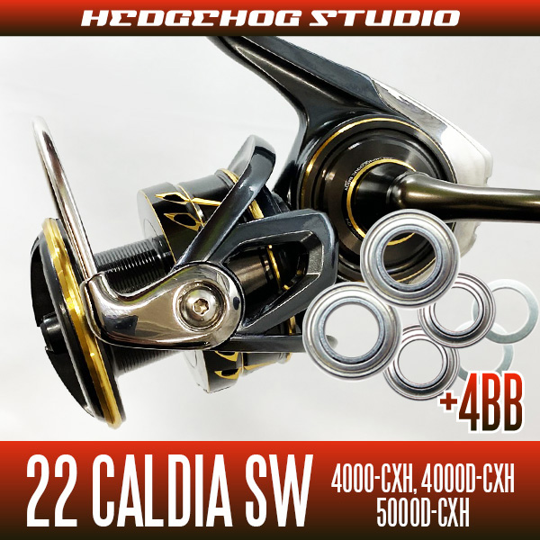 Daiwa CALDIA SW 5000D-CXH